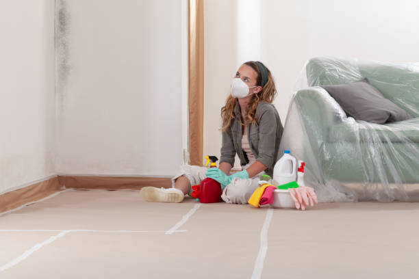 Reliable Basement Mold Remediation contractor in Redmond, WA by Car Mold Remediation